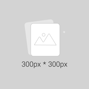 آداپتور مودم آی پی لینک